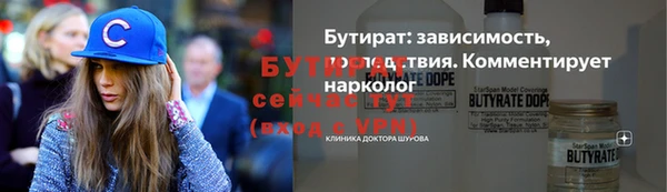 индика Богданович
