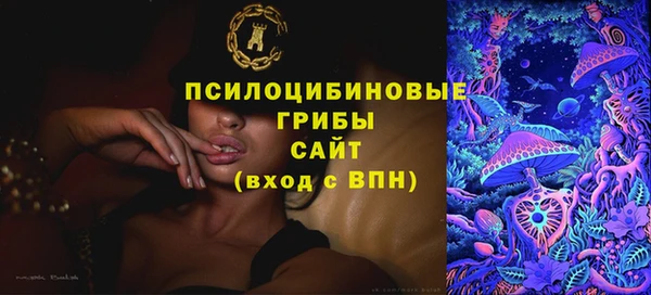 индика Богданович