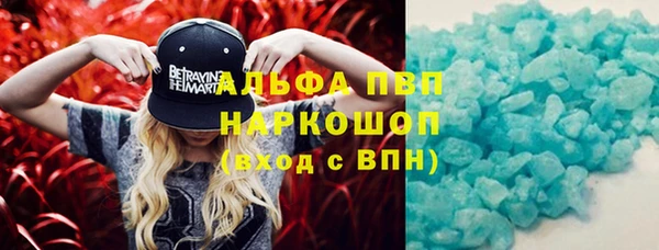 гашик Тында