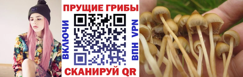 Галлюциногенные грибы ЛСД  закладка  Яранск 